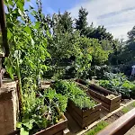 Hidden Gem & Gated Parking Český Krumlov