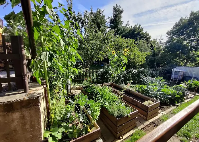 Hidden Gem & Gated Parking Český Krumlov