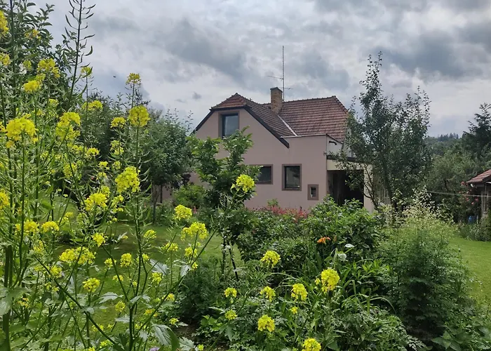 Hidden Gem & Gated Parking 公寓